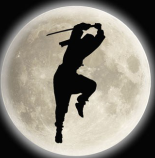 "Ninja cBot free trial" logo